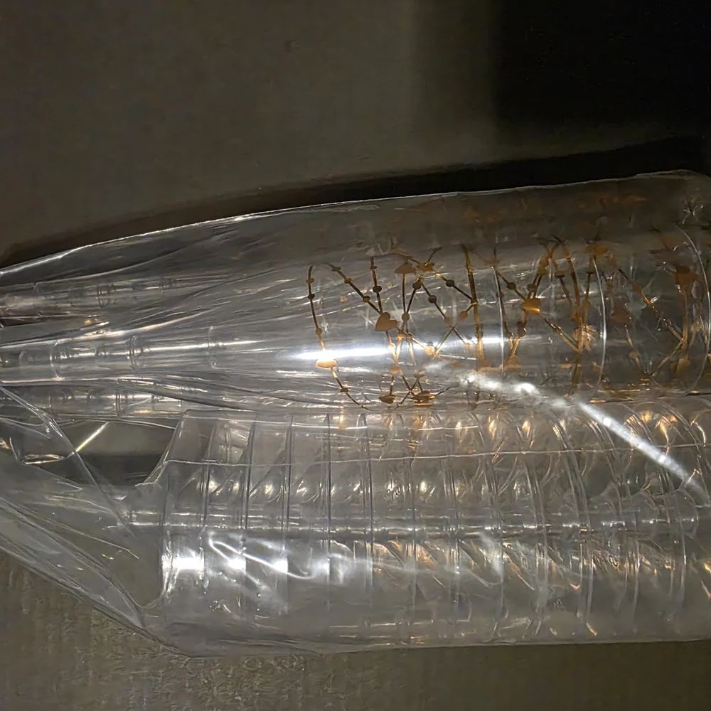 Gold and Silver Champagne Flutes